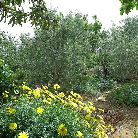 Martedic